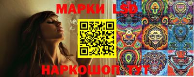 прущие крисы Бийск