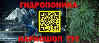 прущие крисы Бийск