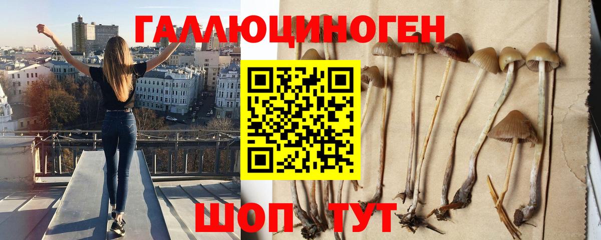 Галлюциногенные грибы Psilocybe  Вход с VPN  Великие Луки  Псилоцибиновые грибы Magic Shrooms 